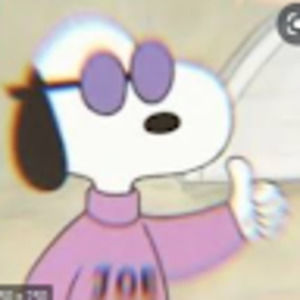 Meet your Posher, Ally